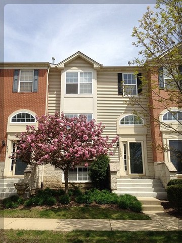 125 Rachel Avenue #505A, Willow Springs, IL 60480