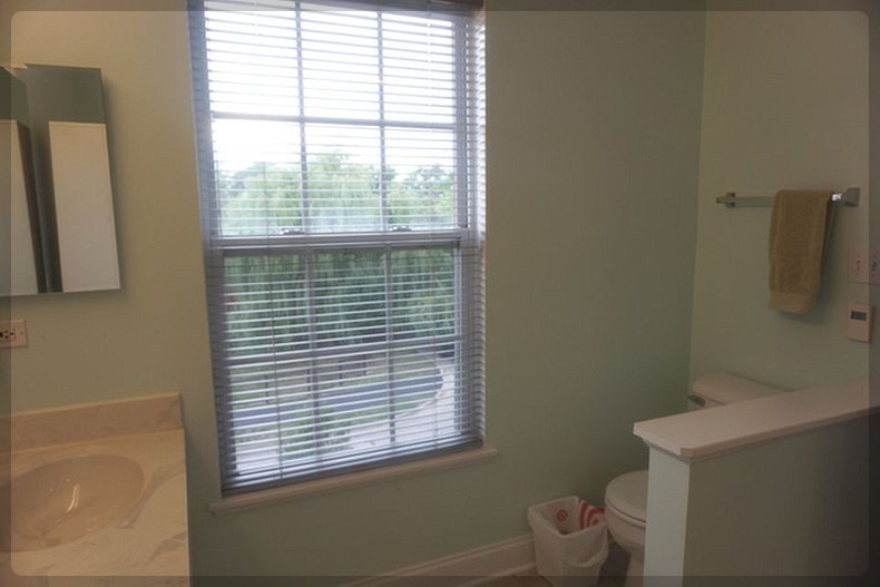 125 Rachel Avenue #505A, Willow Springs, IL 60480