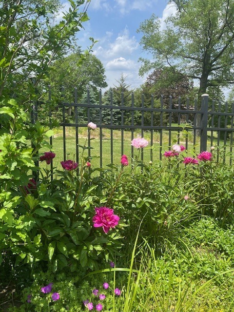 13210 S 85th Avenue, Palos Park, IL 60464