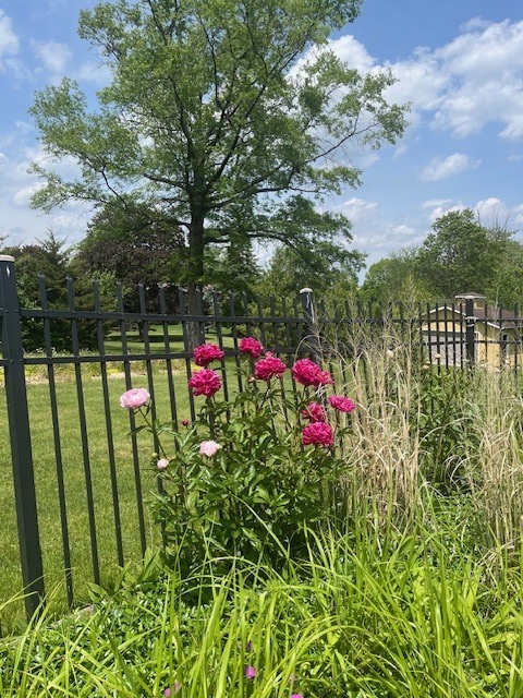 13210 S 85th Avenue, Palos Park, IL 60464