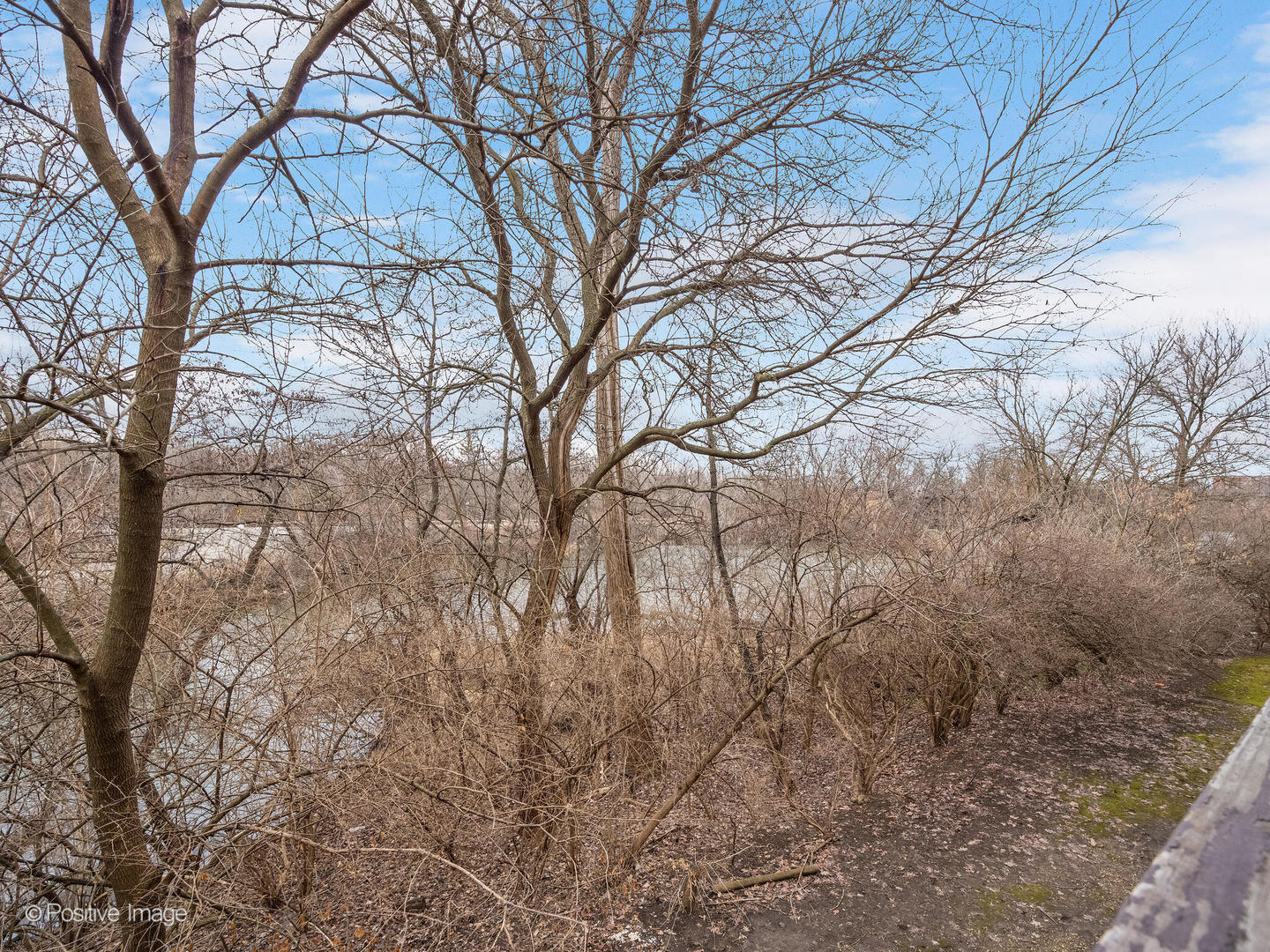 5516 E Lake Drive #92C, Lisle, IL 60532