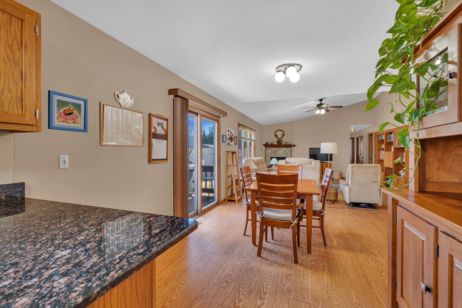 214 Deerpath Drive, Minooka, IL 60447