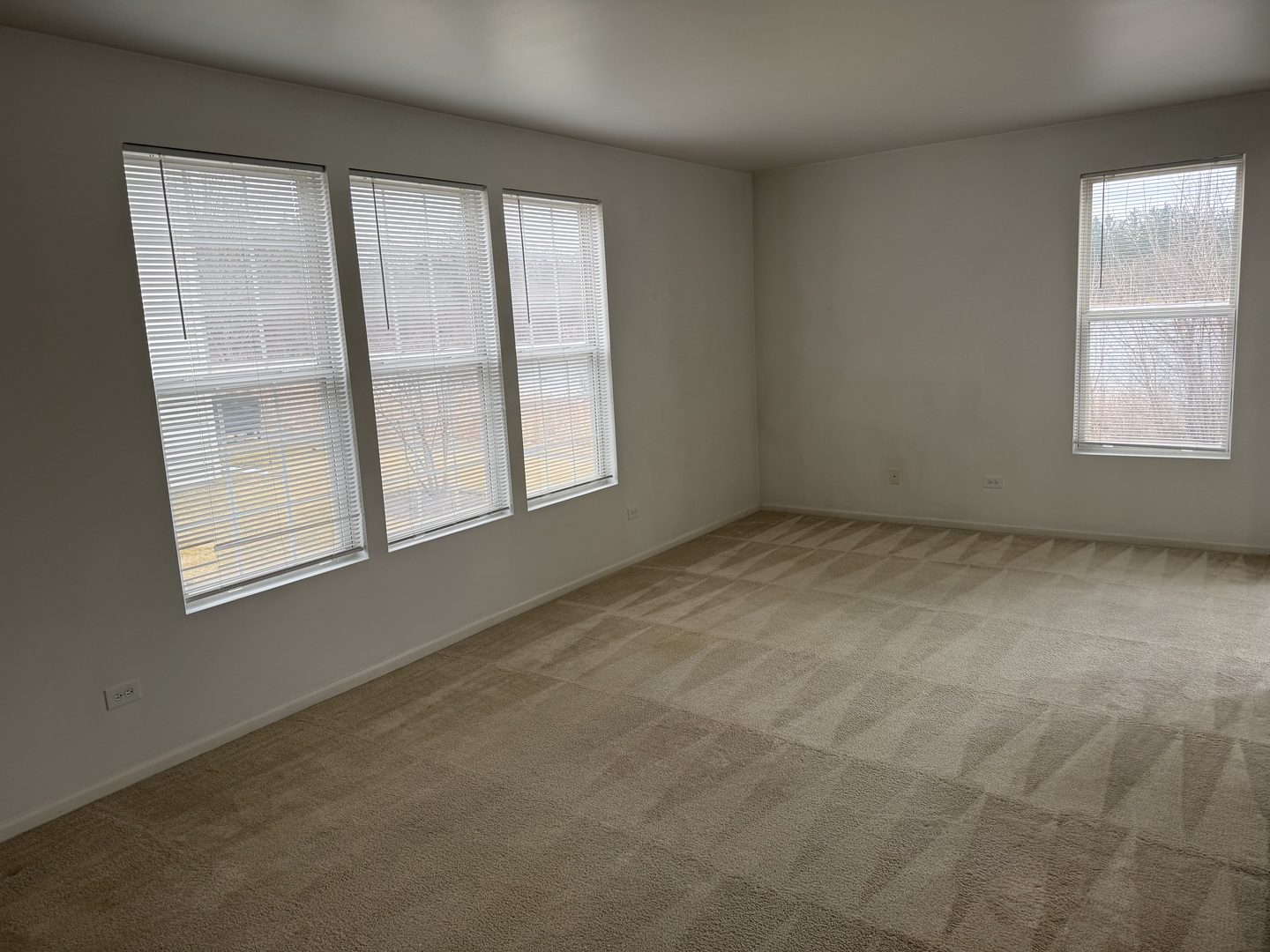 111 W Chatham Lane, Round Lake, IL 60073