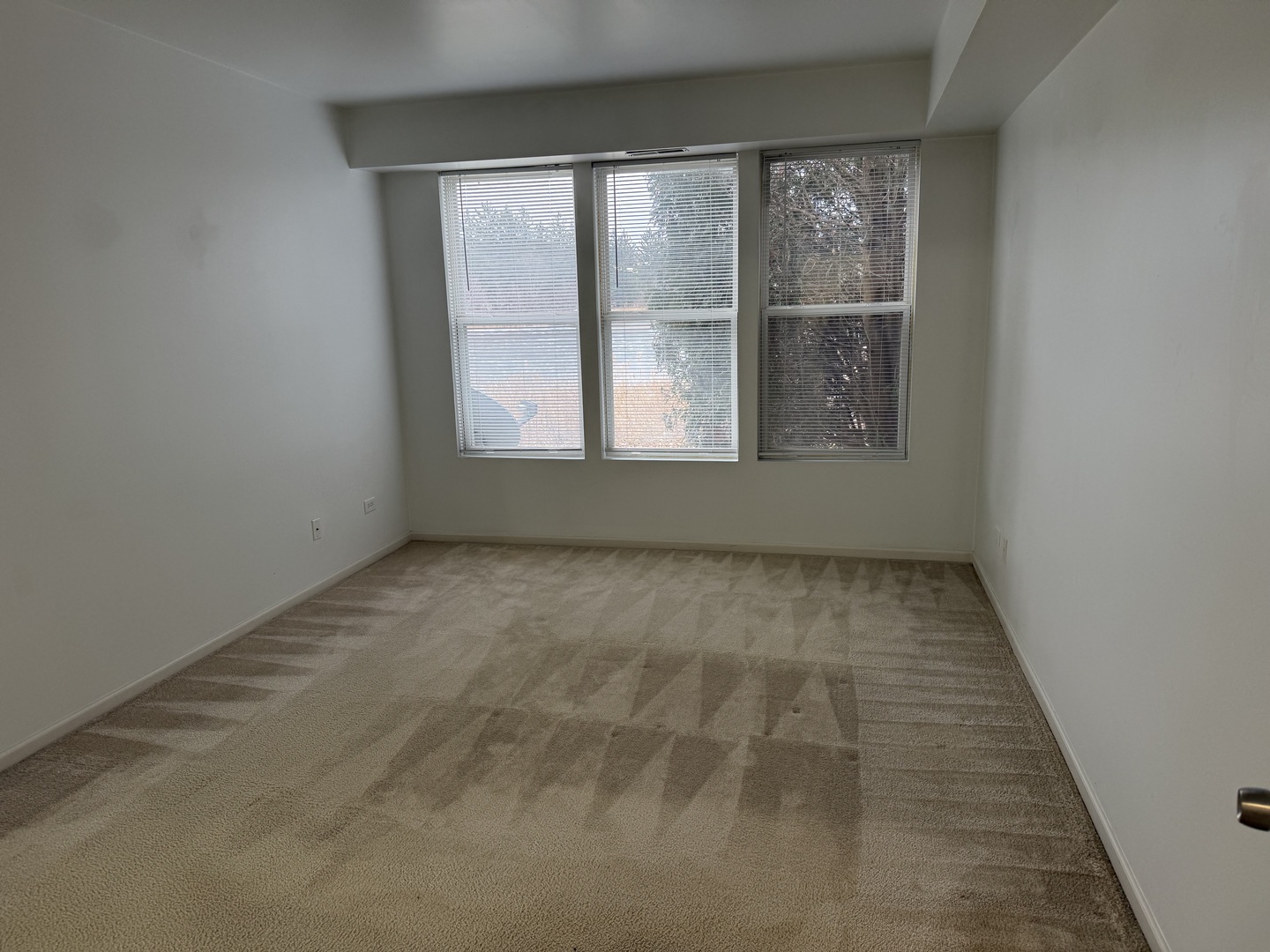 111 W Chatham Lane, Round Lake, IL 60073