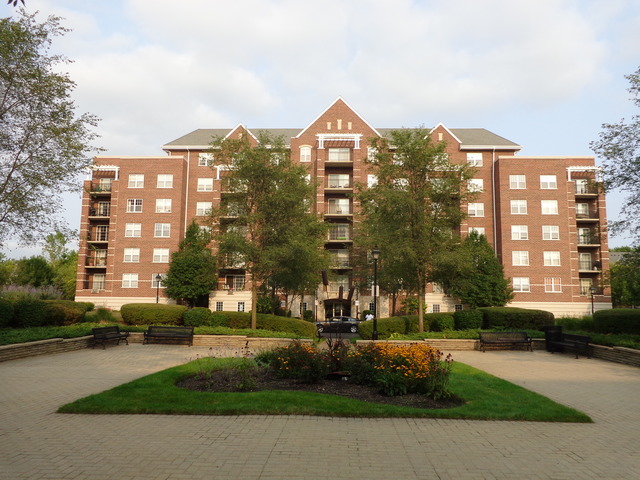 410 W Mahogany Court #407, Palatine, IL 60067