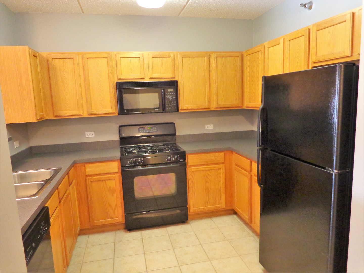 410 W Mahogany Court #407, Palatine, IL 60067