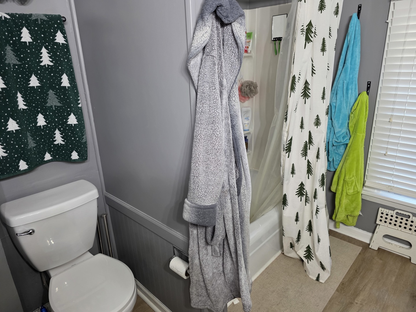 427 W Hurlbut Avenue, Belvidere, IL 61008