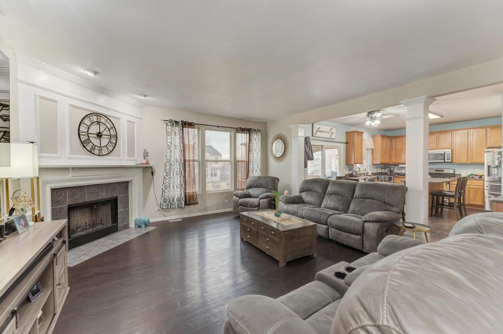 12513 BLUE IRIS Lane, Plainfield, IL 60585