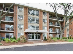 2206 S Goebbert Road #409, Arlington Heights, IL 60005