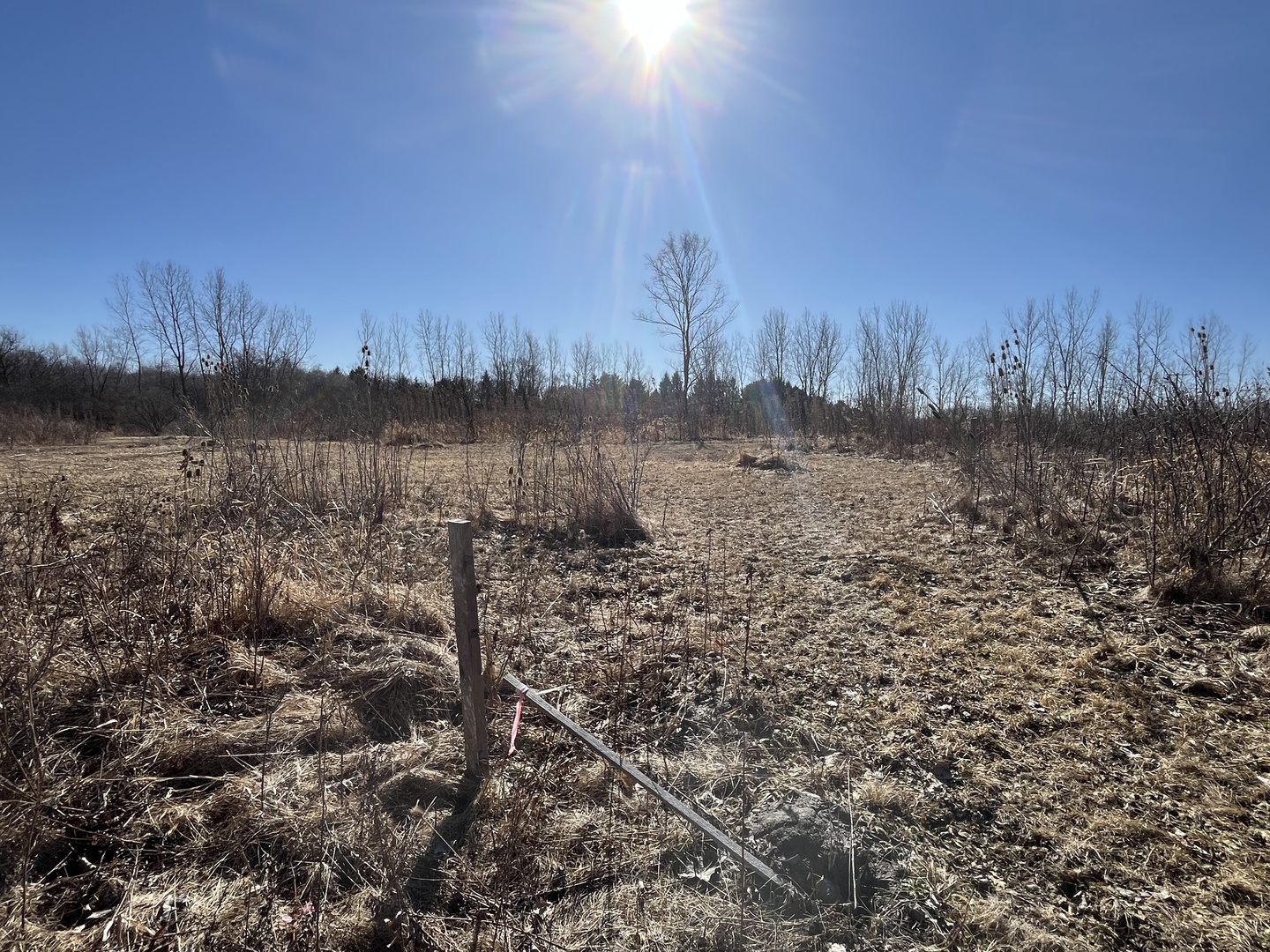 39155 N Dilleys Road, Wadsworth, IL 60083