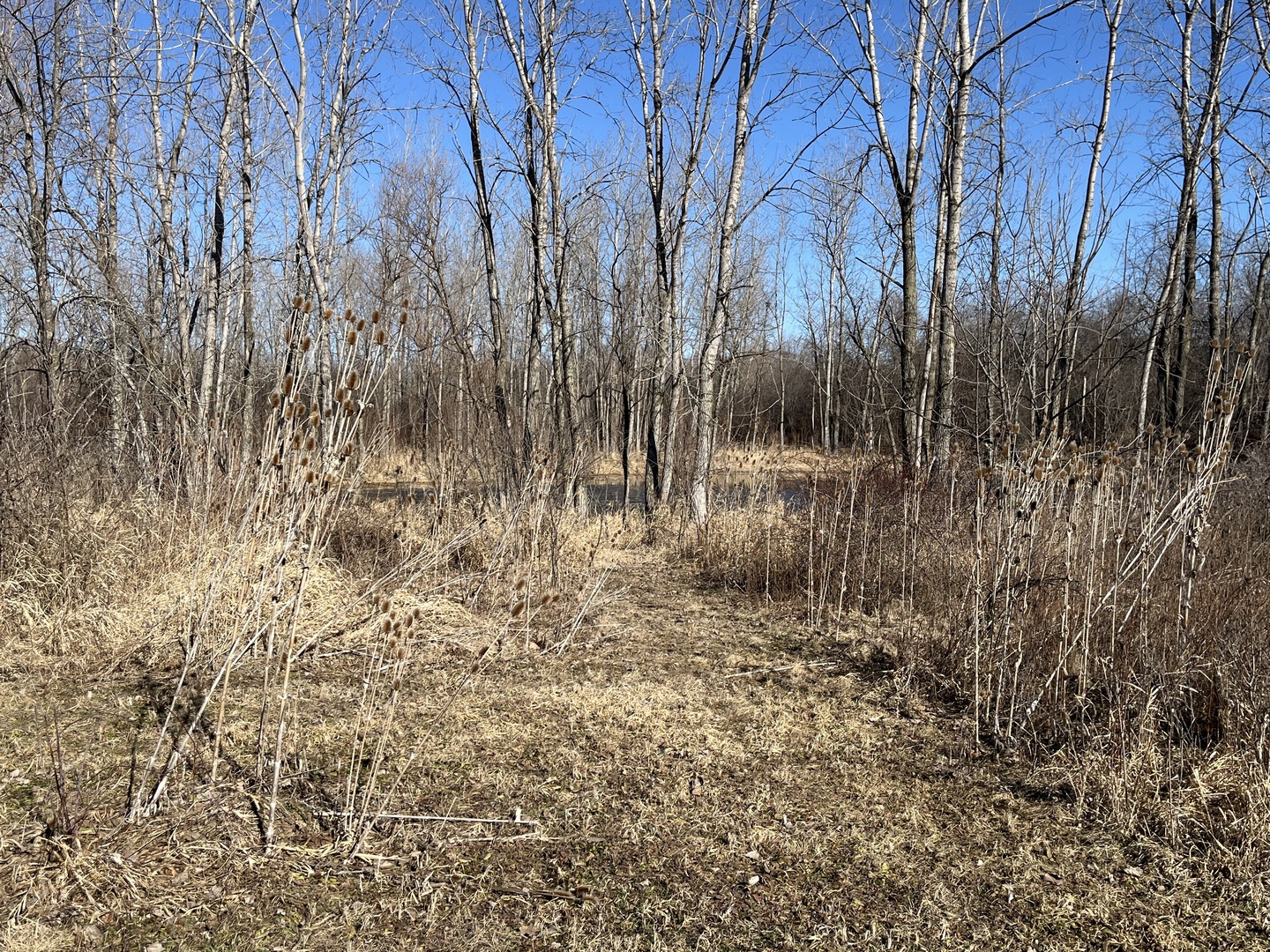 39155 N Dilleys Road, Wadsworth, IL 60083