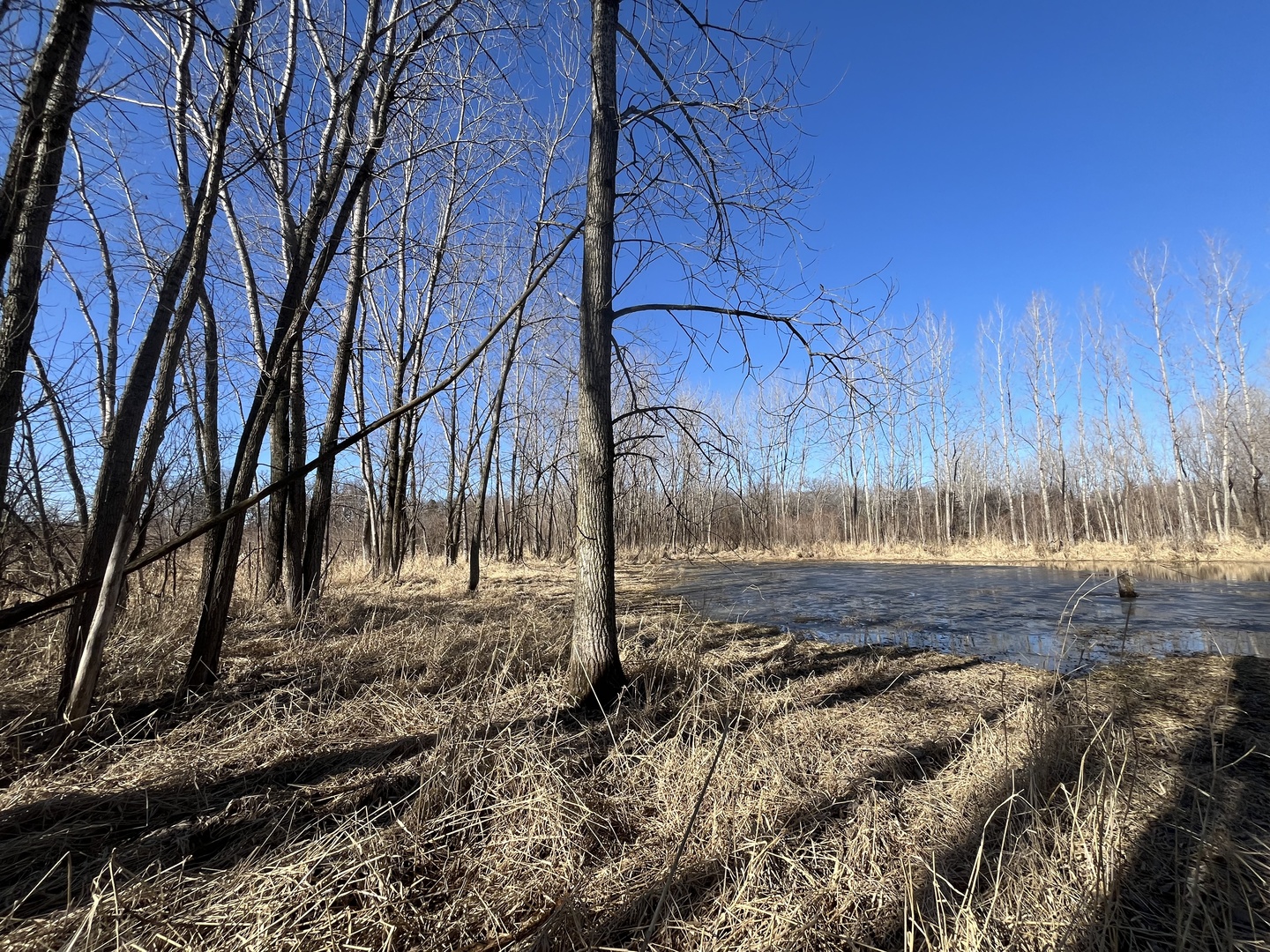 39155 N Dilleys Road, Wadsworth, IL 60083