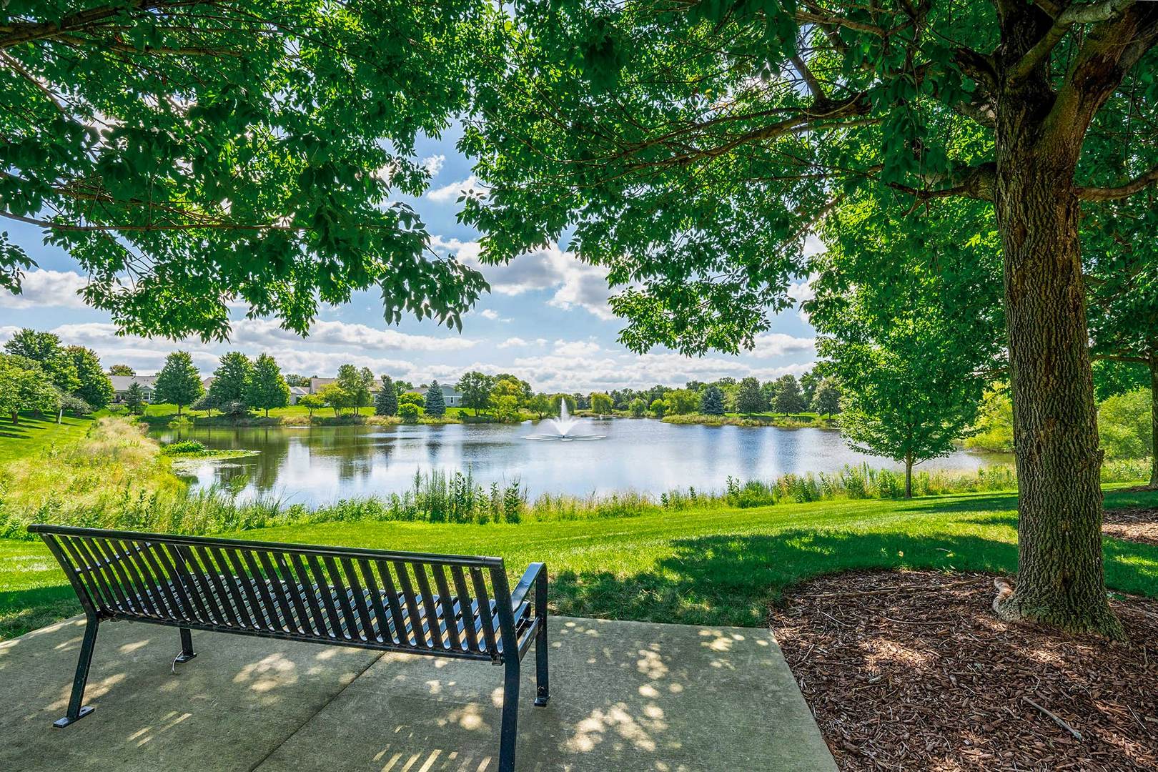 1702 Patriot Street, Shorewood, IL 60404