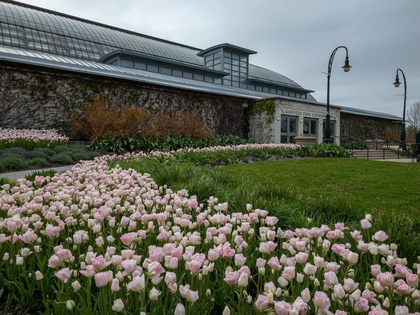 102 N Hamlin Boulevard #D1, Chicago, IL 60624