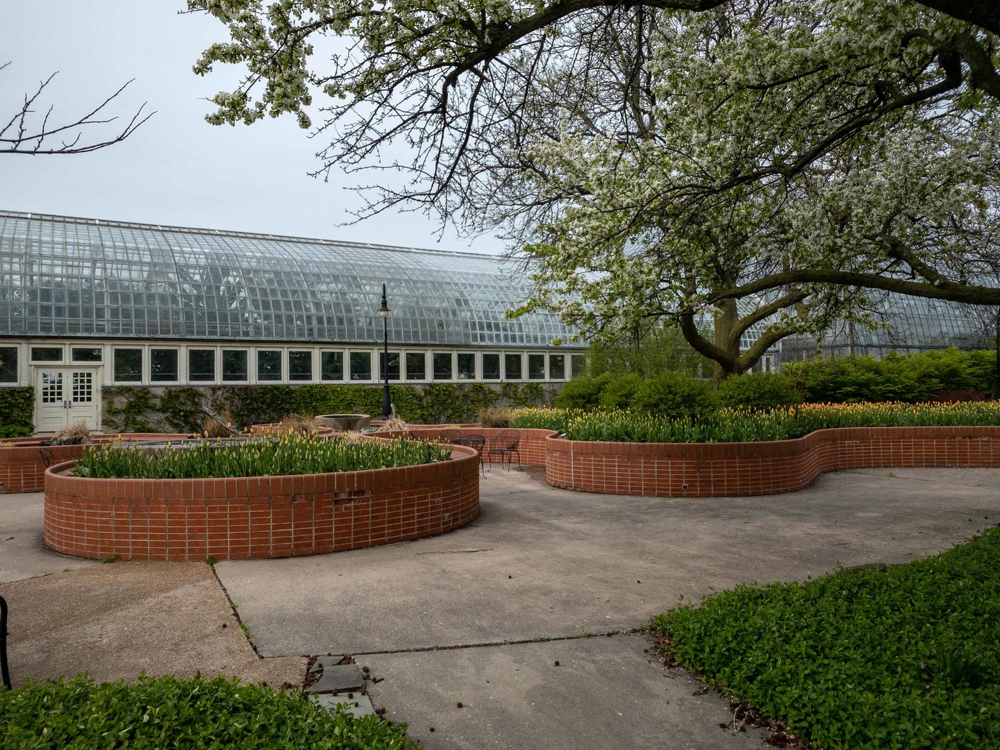 102 N Hamlin Boulevard #D1, Chicago, IL 60624