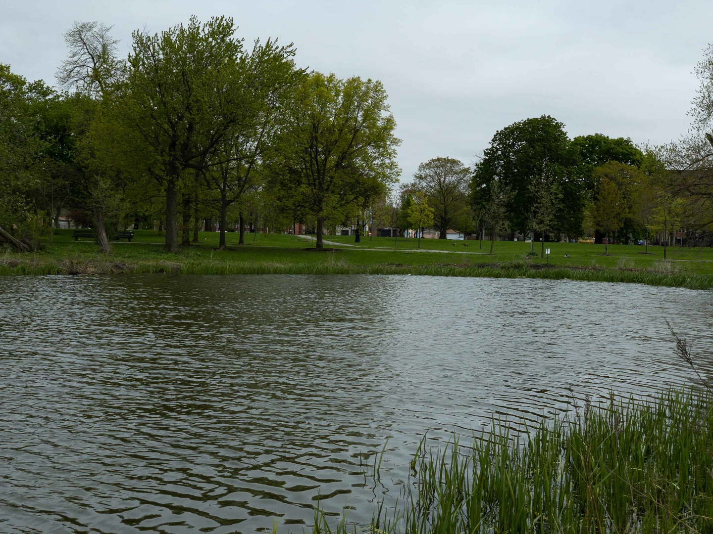 3806 W Washington Boulevard #D1, Chicago, IL 60624