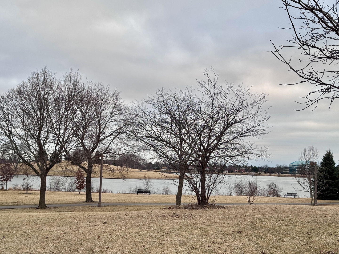 2 Timber Lane #17, Vernon Hills, IL 60061