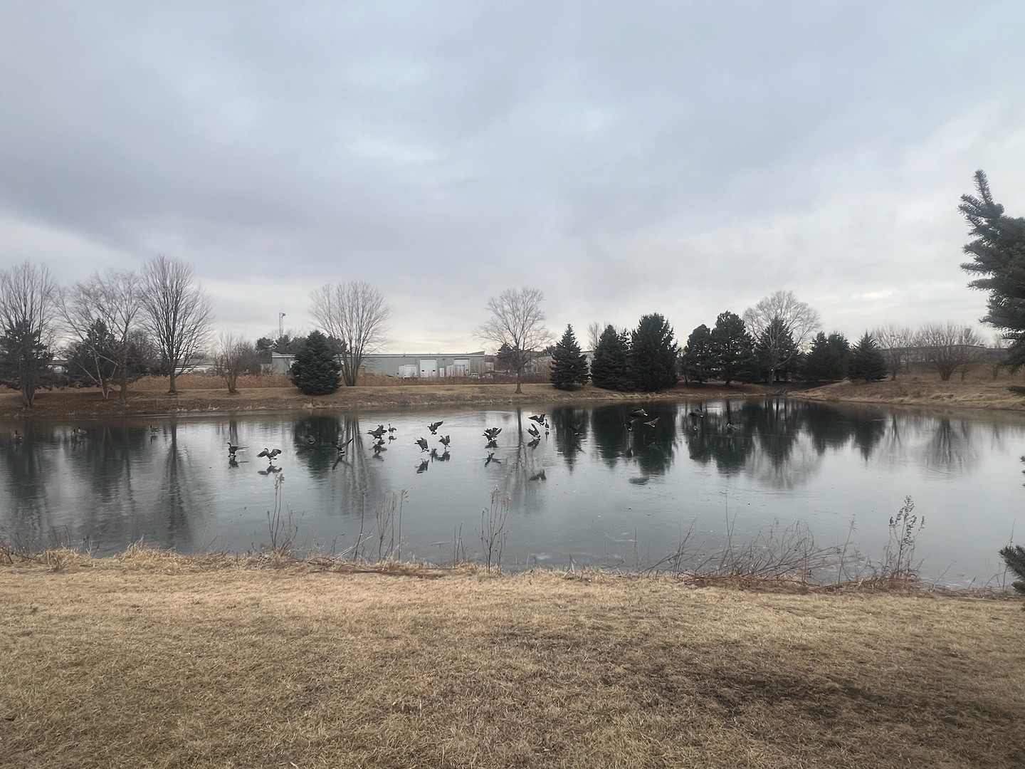 285 Lakeshore Drive, Oswego, IL 60543