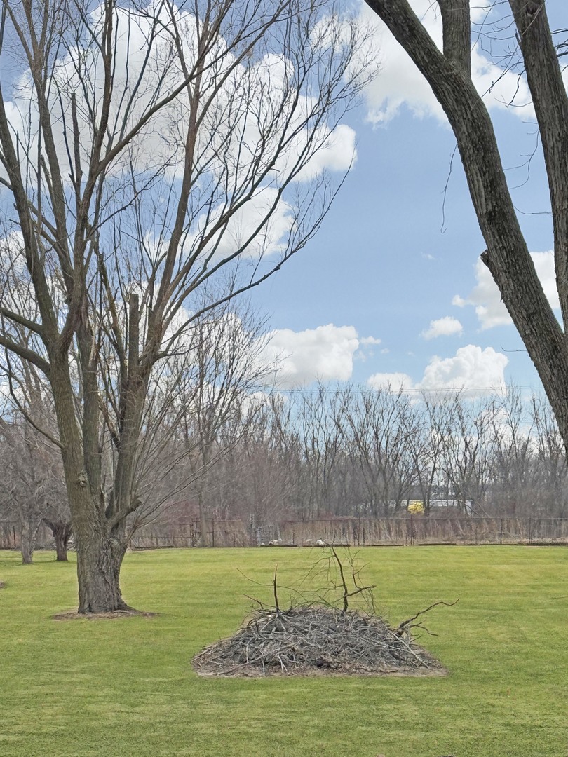 1765 Glenwood Dyer Road, Lynwood, IL 60411