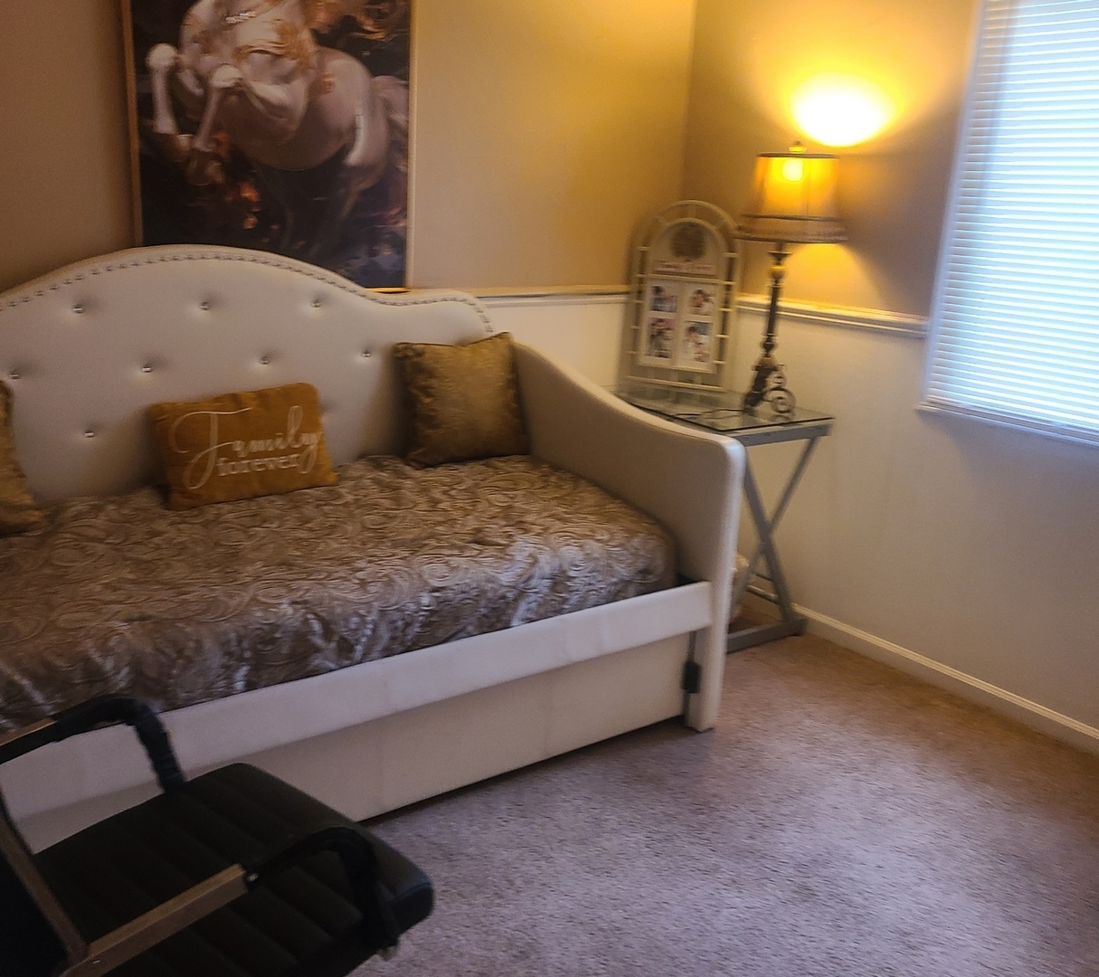 3601 Edward Drive, Crete, IL 60417