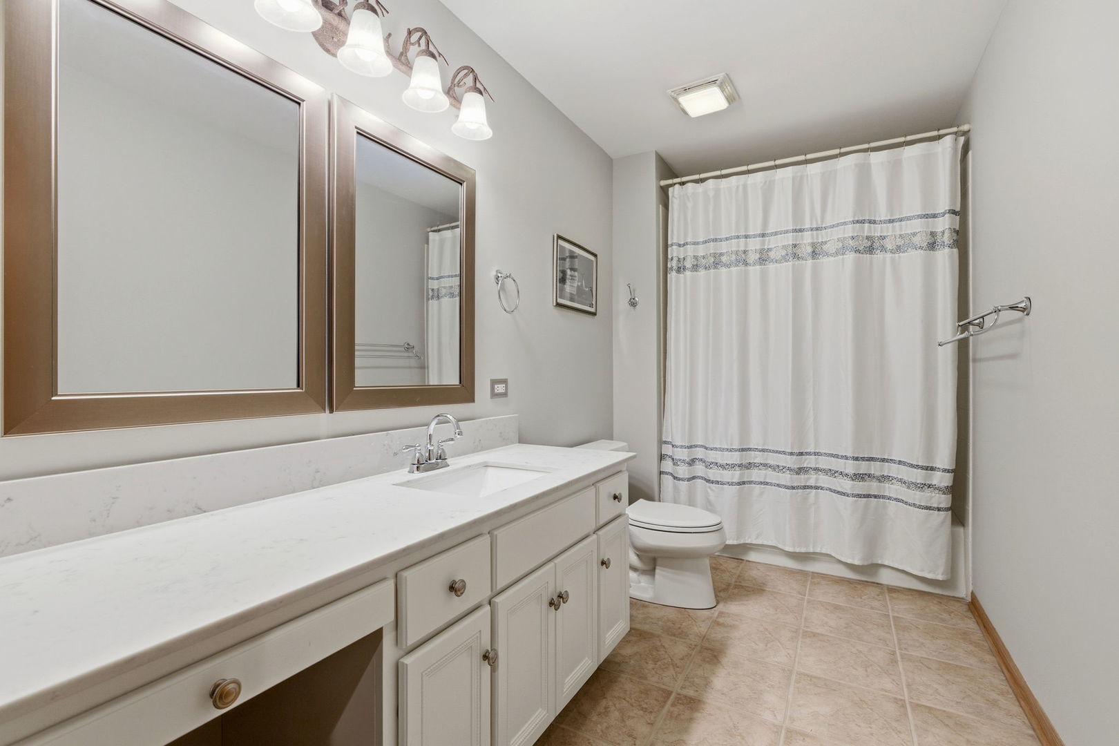 21702 Higley Lane, Frankfort, IL 60423