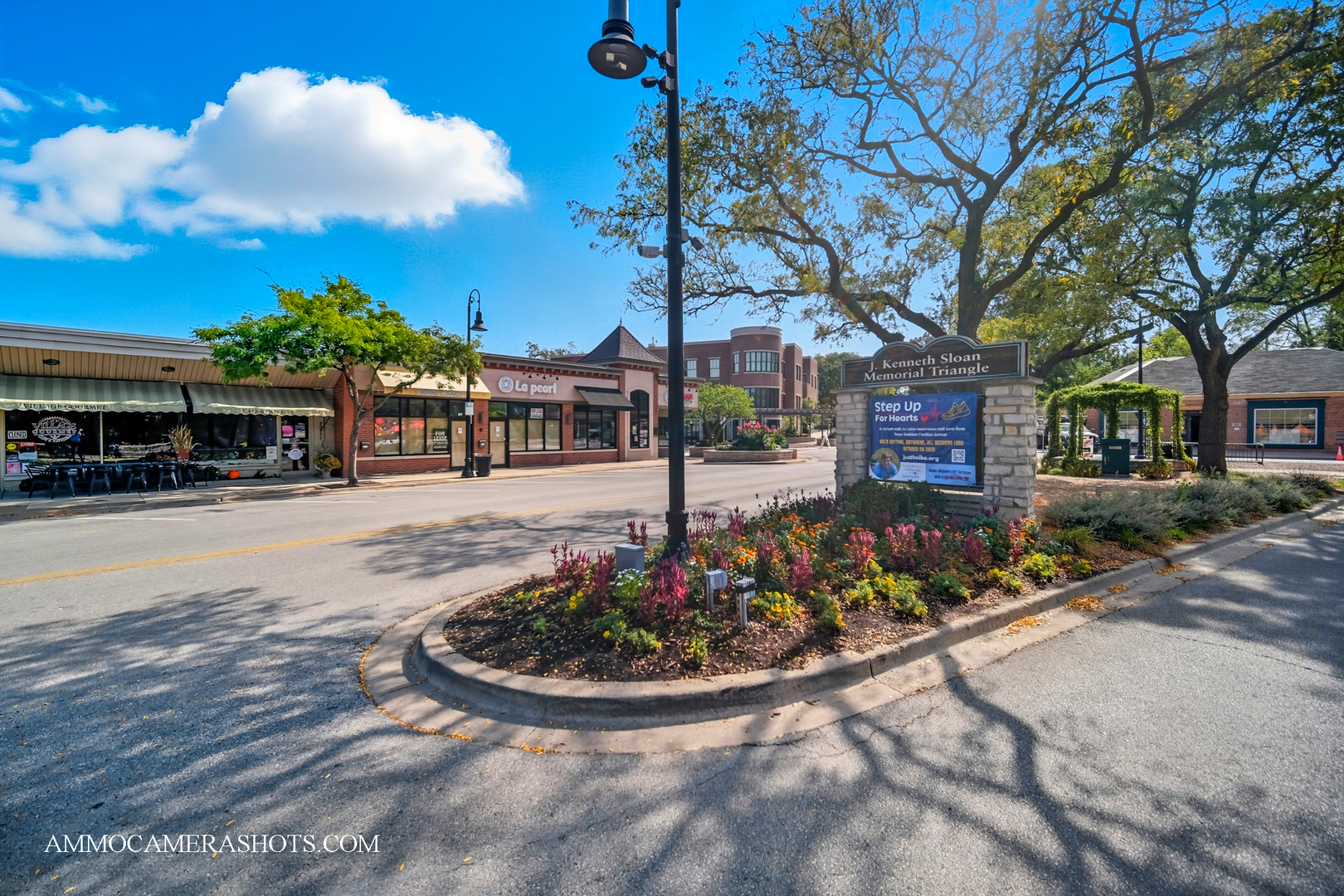 Clarendon Hills, IL 60514