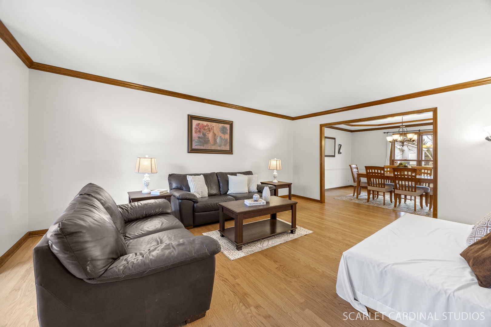 1028 Whitewater Lane, Naperville, IL 60540