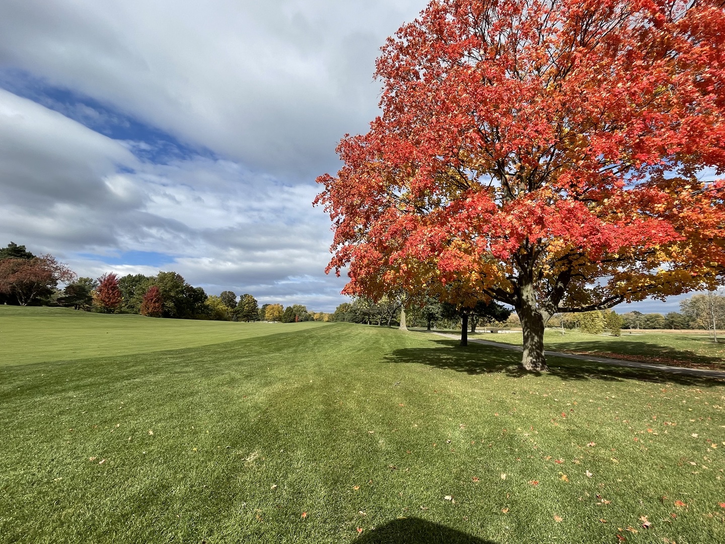 23938 N Cypress Court, Kildeer, IL 60047