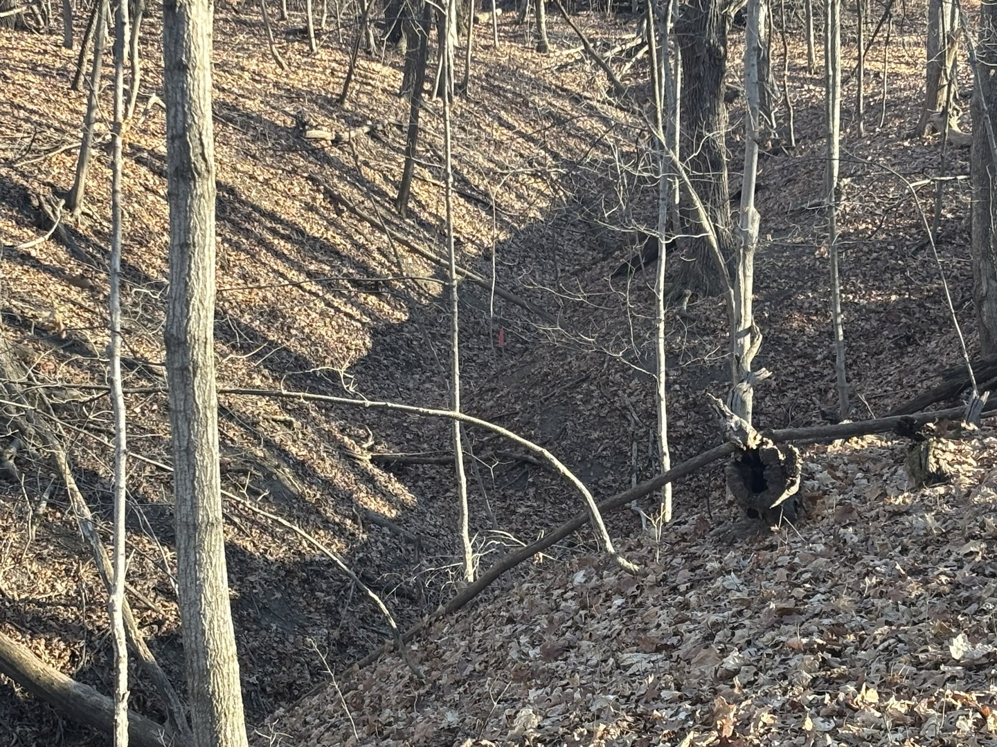 2960 N 2553rd Road, Seneca, IL 61360