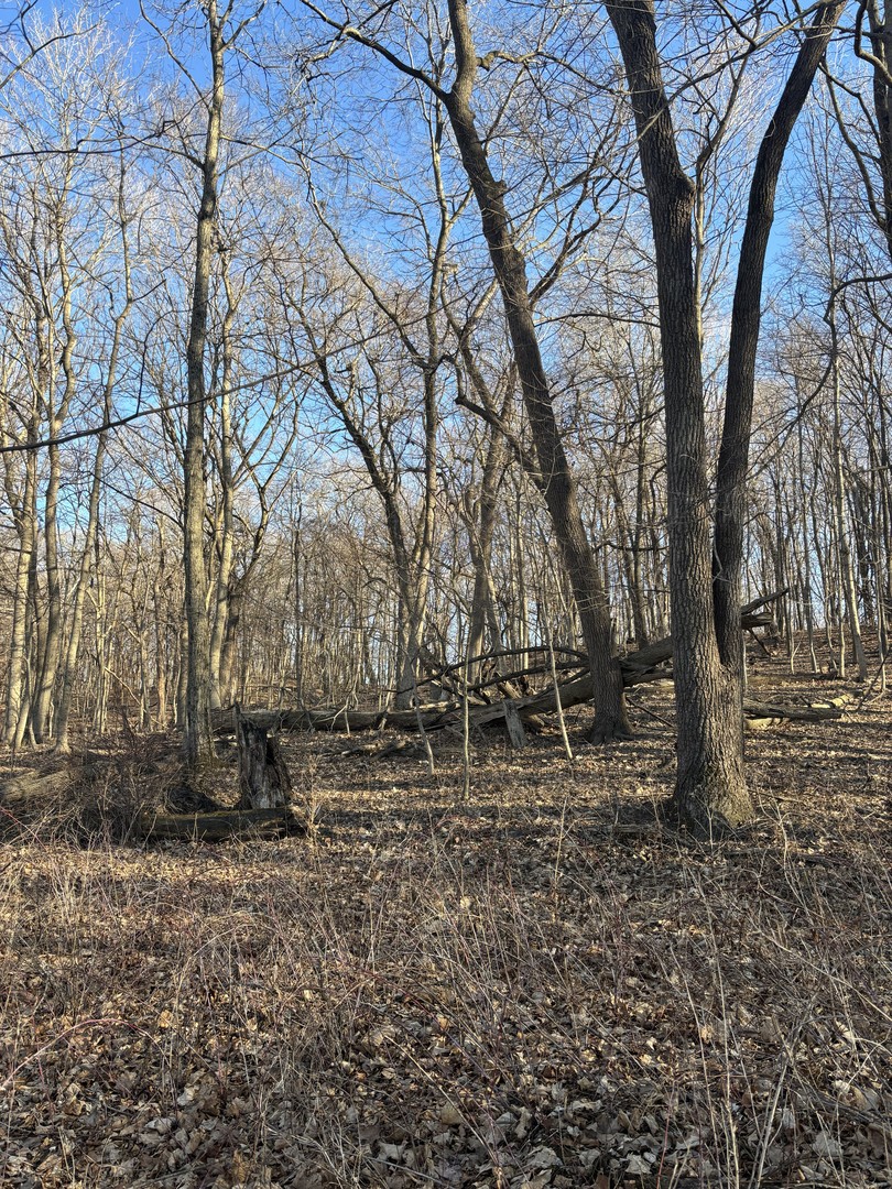 2960 N 2553rd Road, Seneca, IL 61360