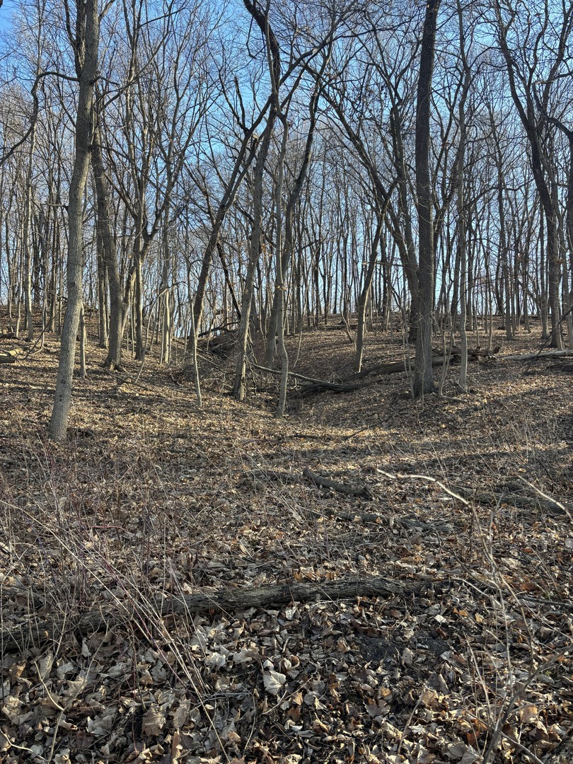 2960 N 2553rd Road, Seneca, IL 61360