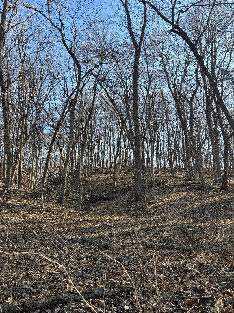 2960 N 2553rd Road, Seneca, IL 61360