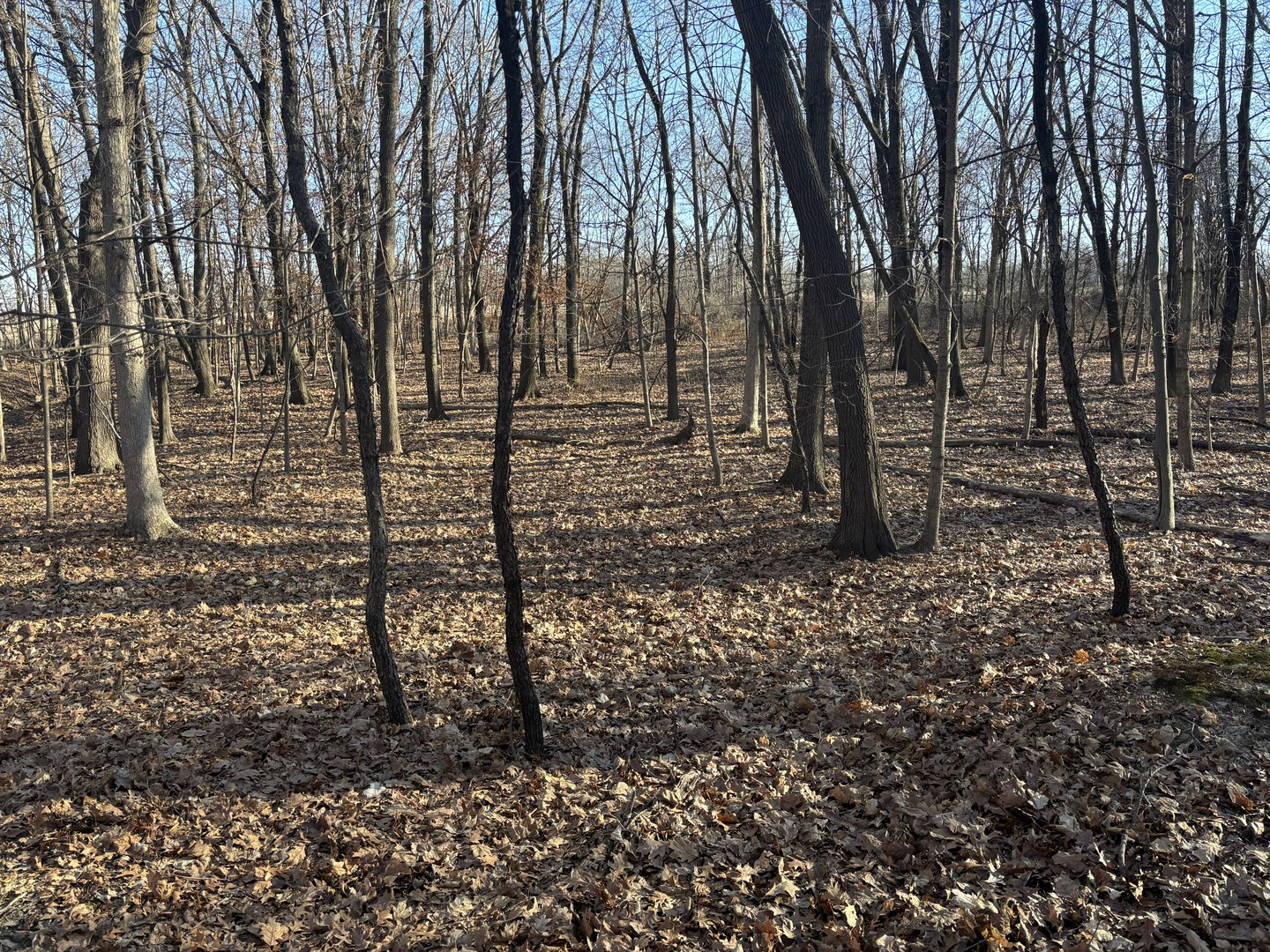 2960 N 2553rd Road, Seneca, IL 61360