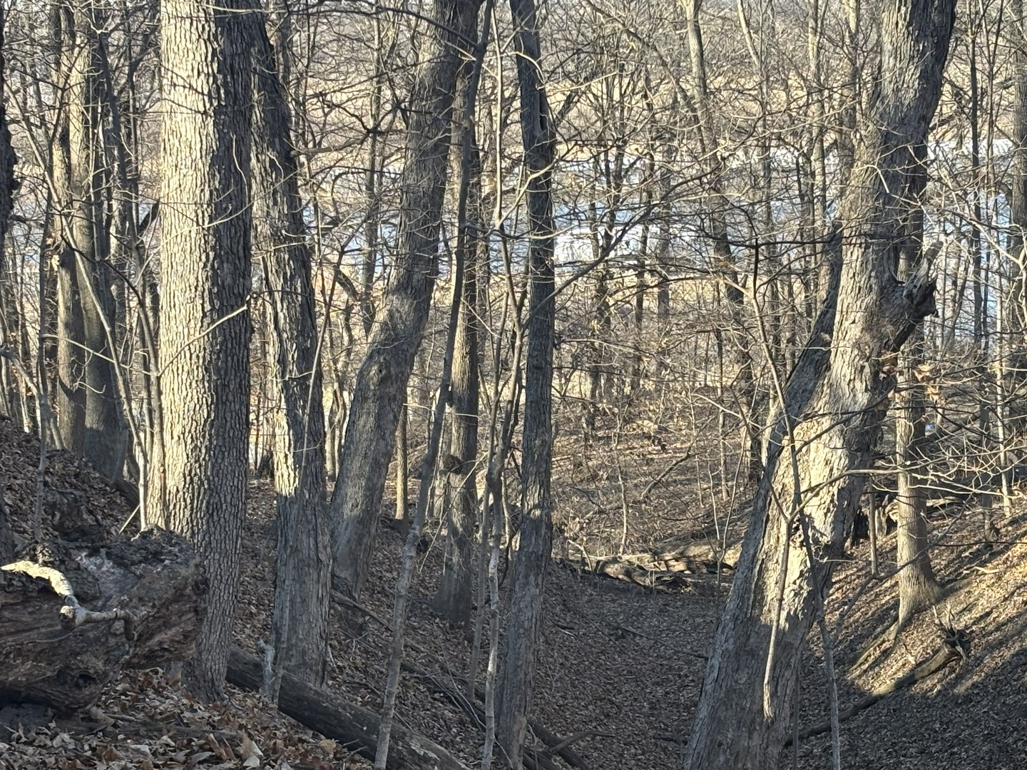 2960 N 2553rd Road, Seneca, IL 61360