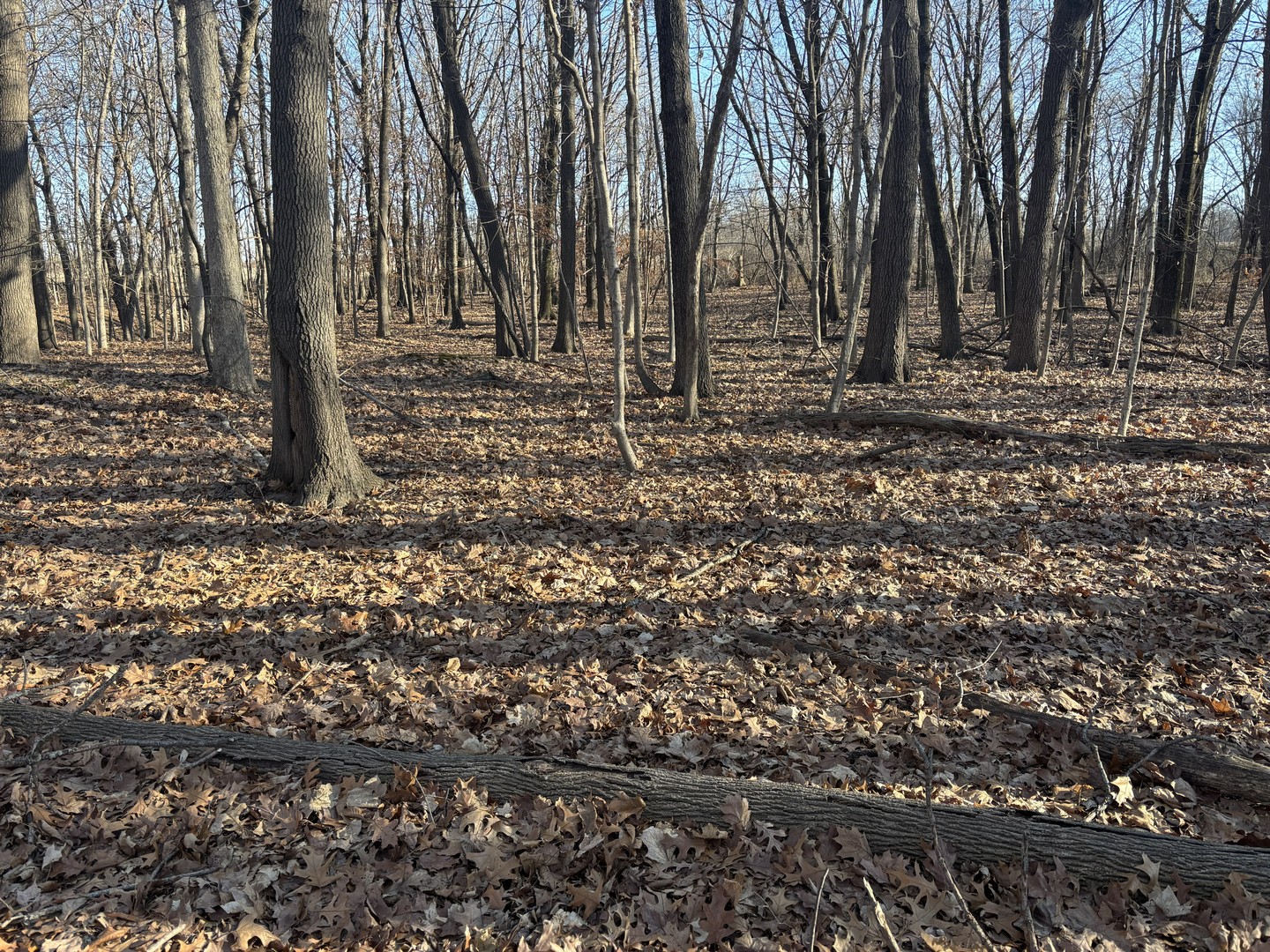 2960 N 2553rd Road, Seneca, IL 61360