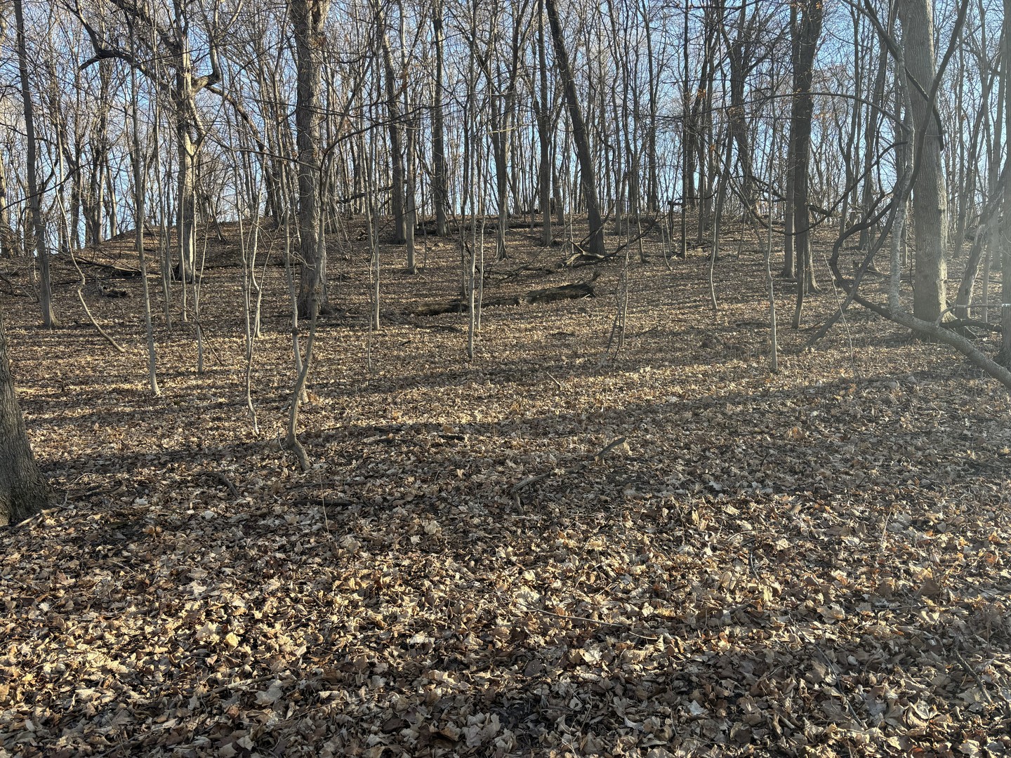 2960 N 2553rd Road, Seneca, IL 61360