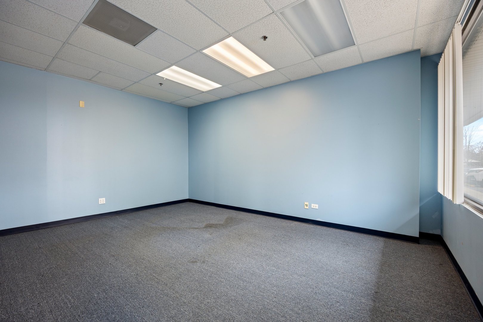 1111 Burlington Avenue #110, Lisle, IL 60532