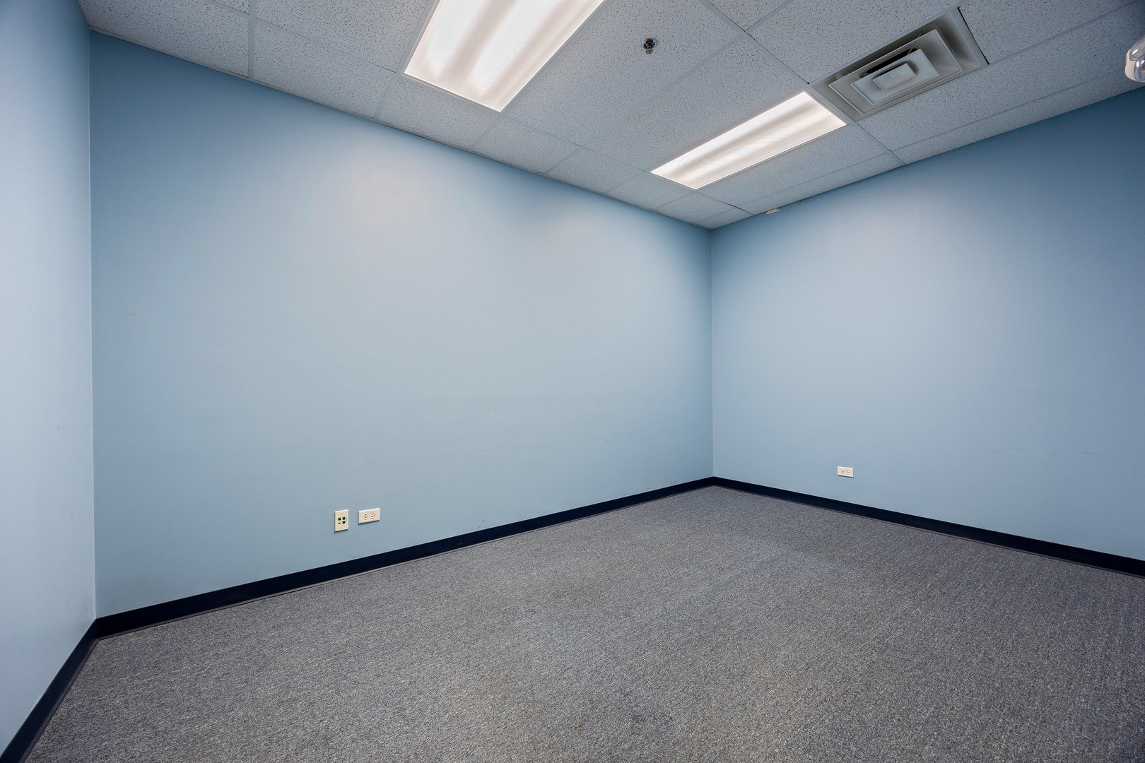 1111 Burlington Avenue #110, Lisle, IL 60532