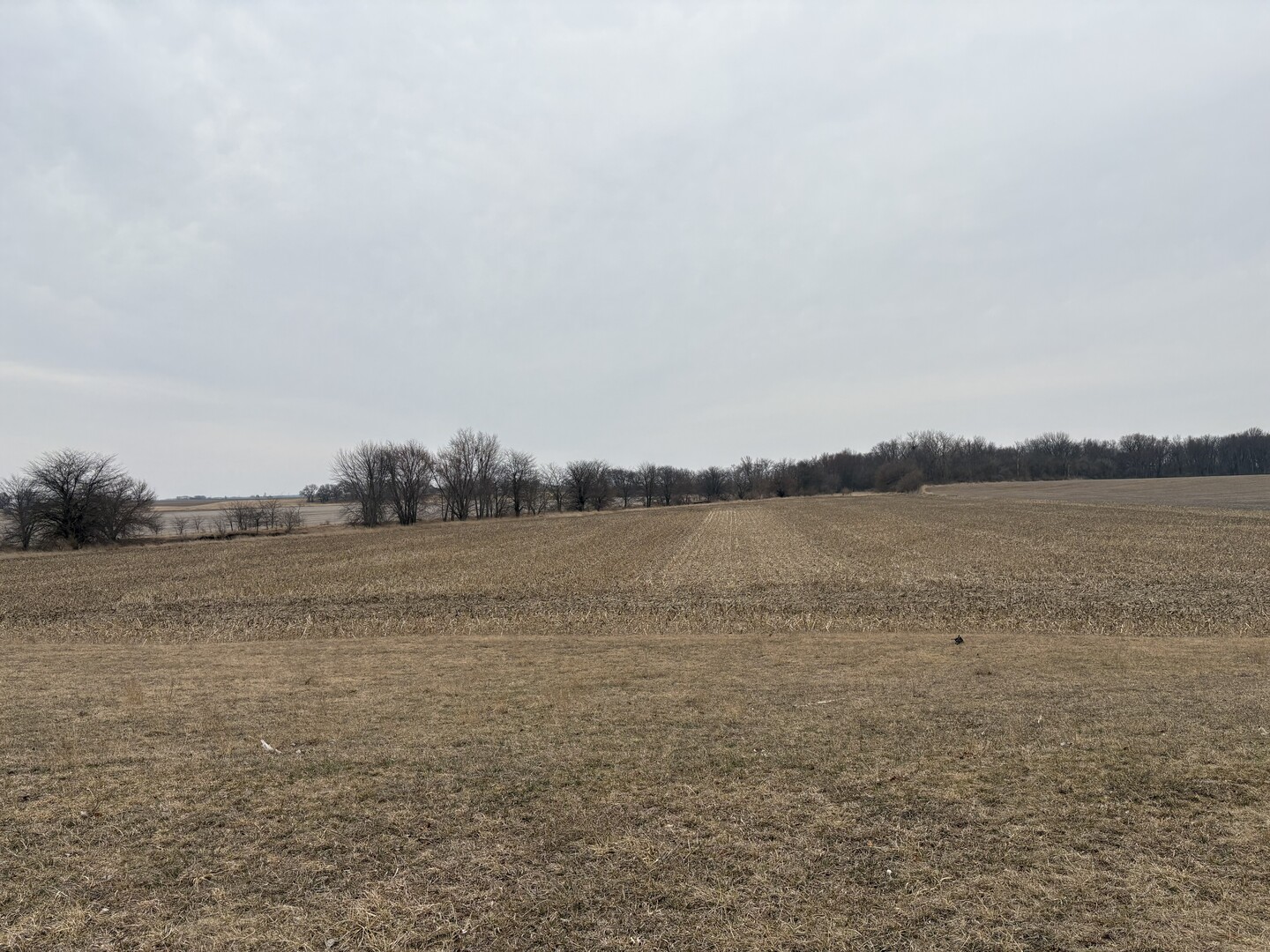 3503 E 1000 North Road, Stanford, IL 61774