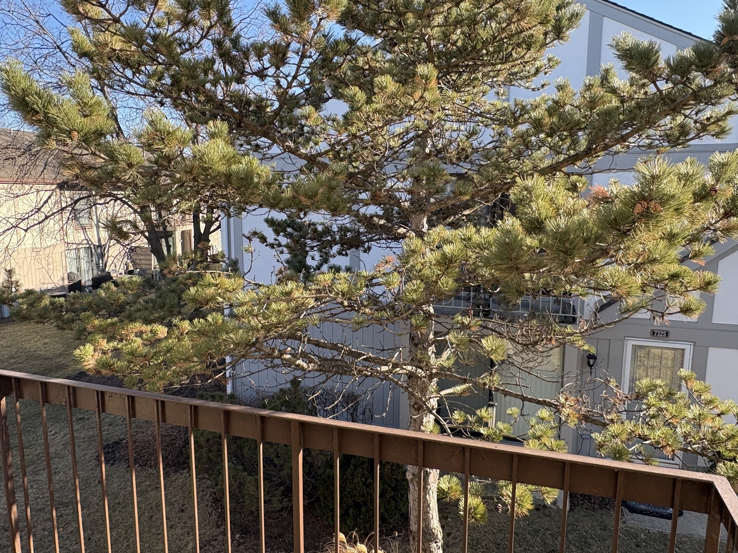 7321 Baybury Road, Downers Grove, IL 60516