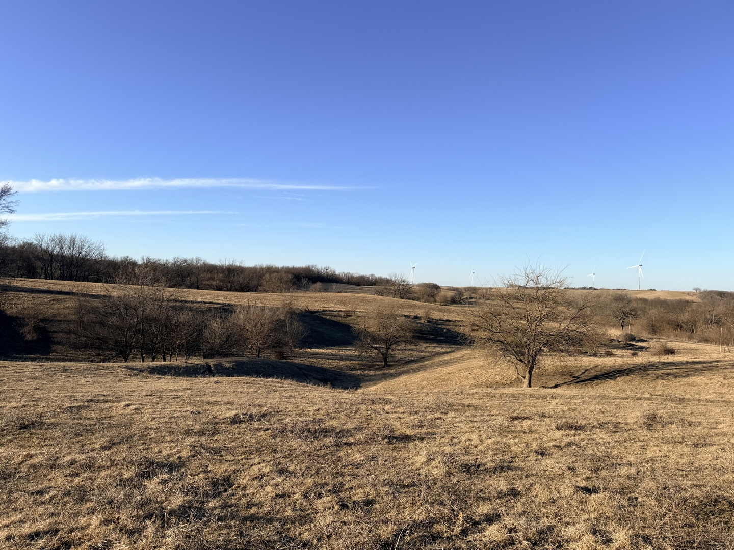 24508 County Highway 28 Highway, Kewanee, IL 61443