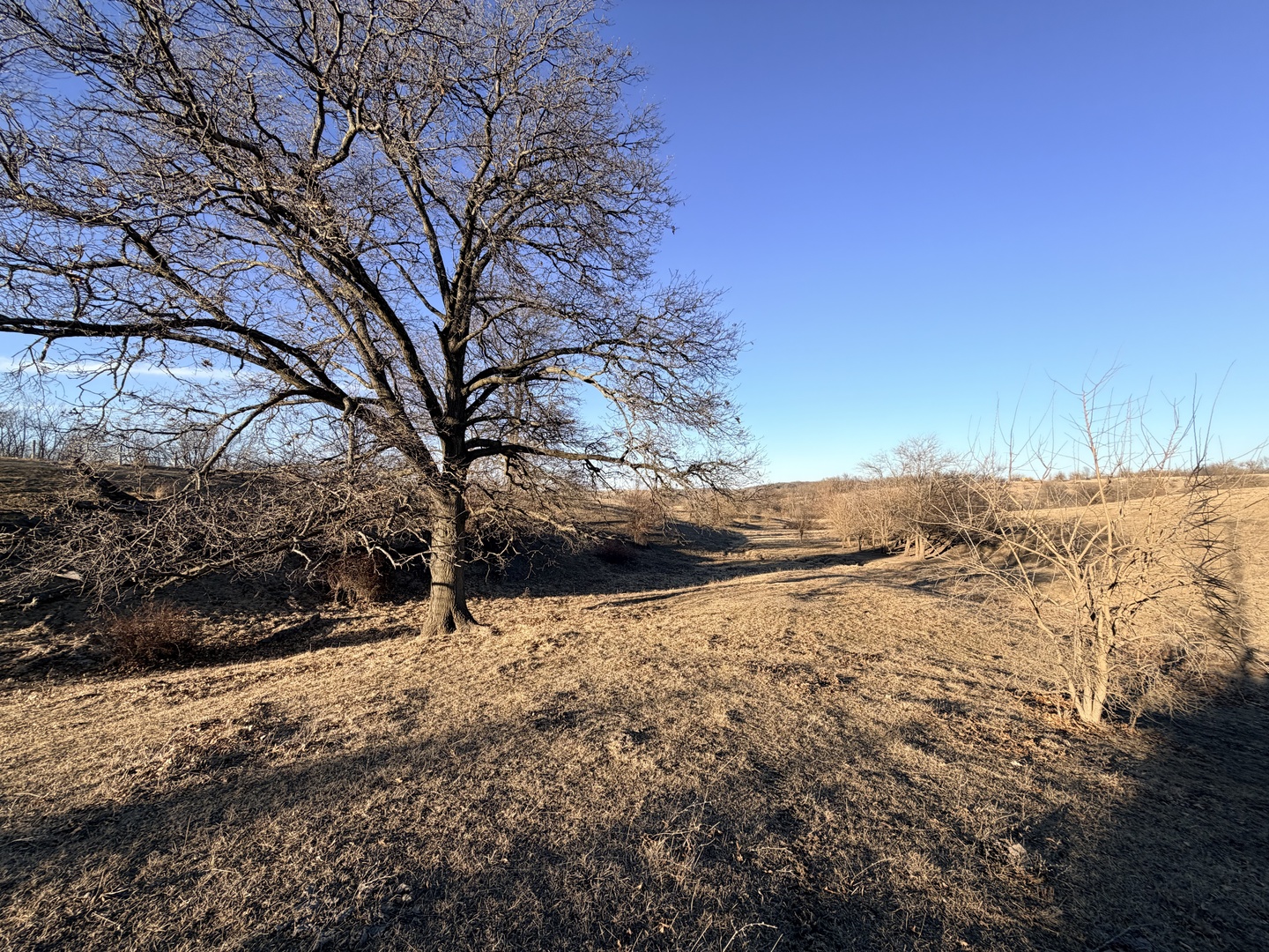 24508 County Highway 28 Highway, Kewanee, IL 61443