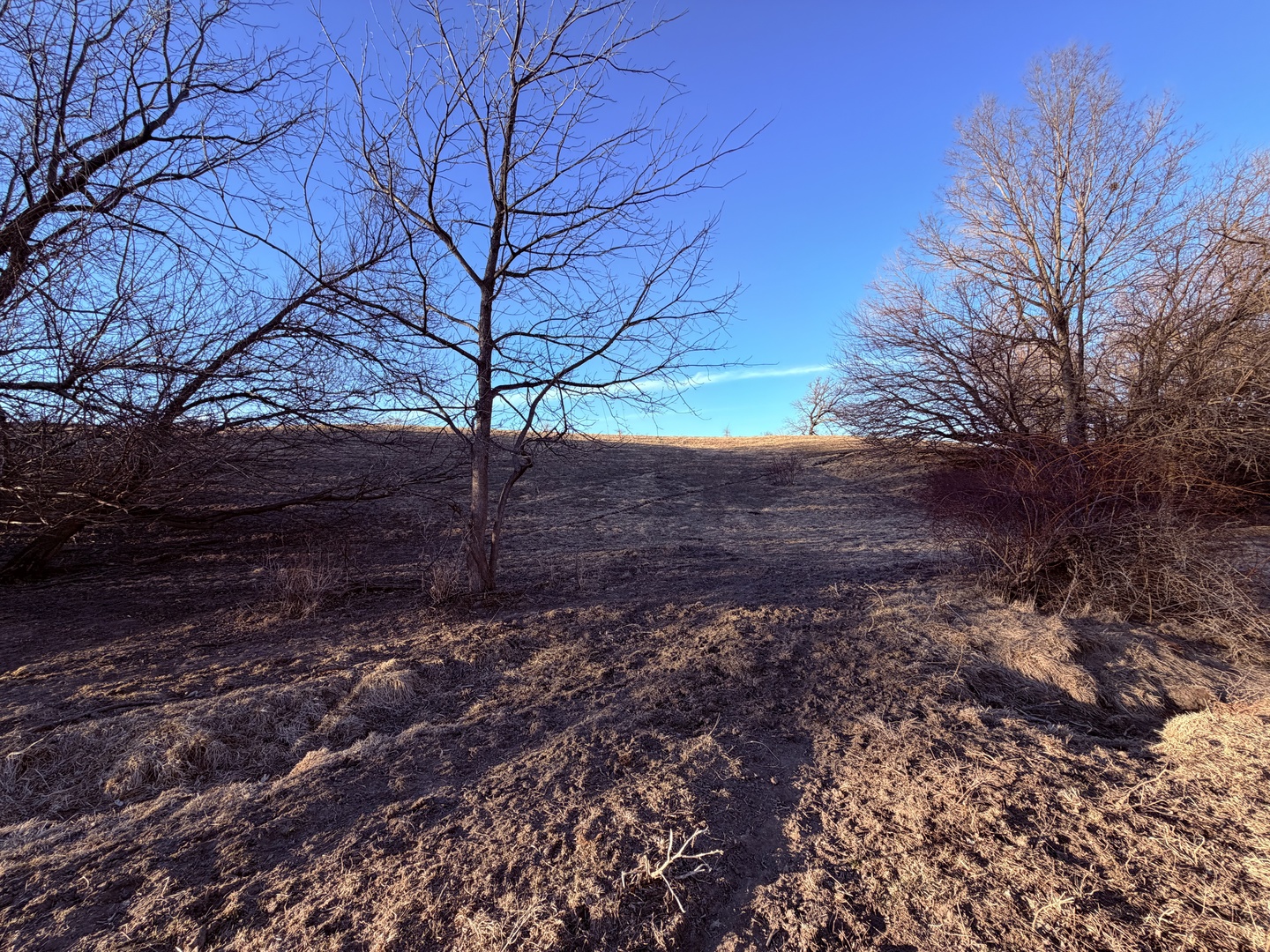 24508 County Highway 28 Highway, Kewanee, IL 61443