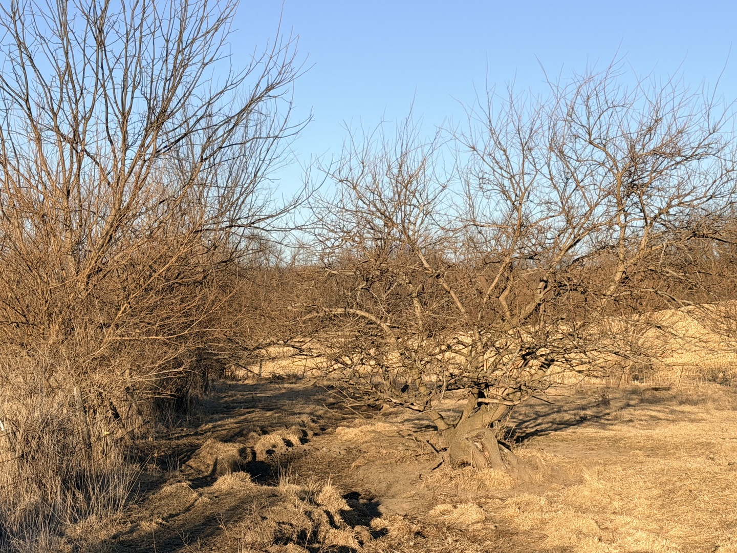 24508 County Highway 28 Highway, Kewanee, IL 61443