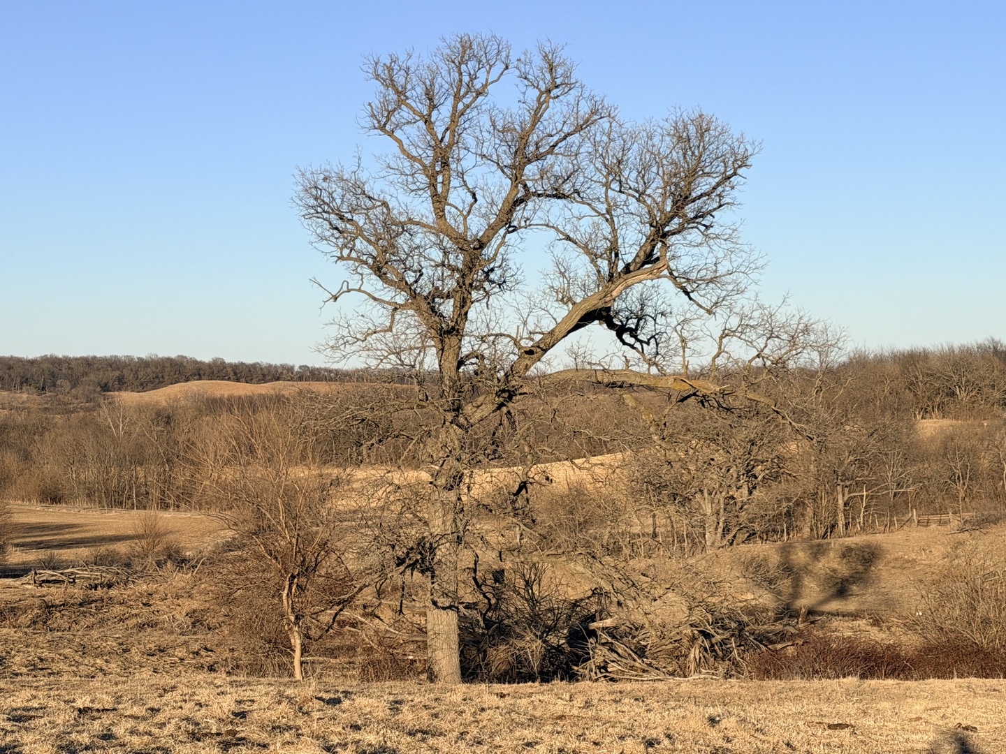 24508 County Highway 28 Highway, Kewanee, IL 61443