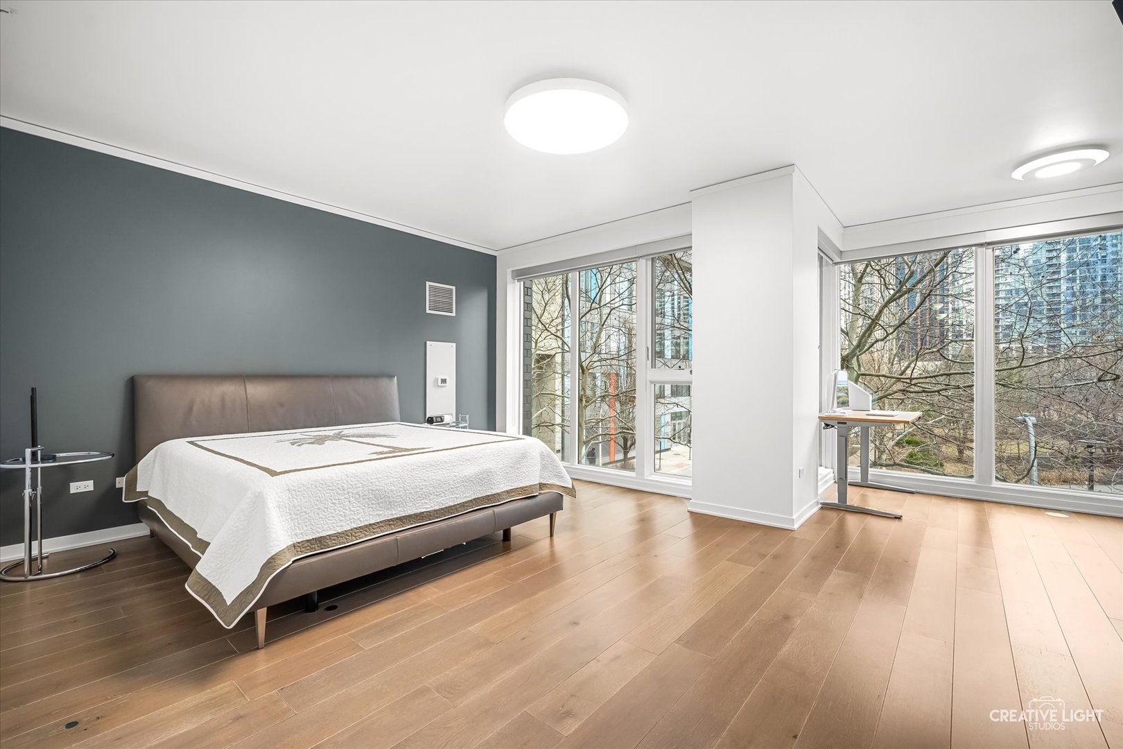 204 N Park Drive, Chicago, IL 60601