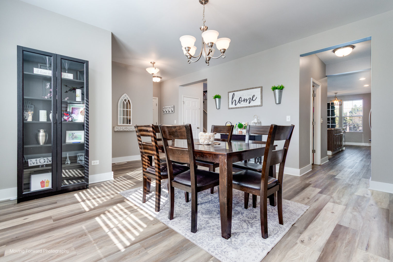 25420 W Springview Court, Plainfield, IL 60586