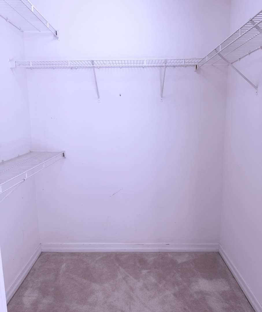 401 E Ontario Street #3010, Chicago, IL 60611