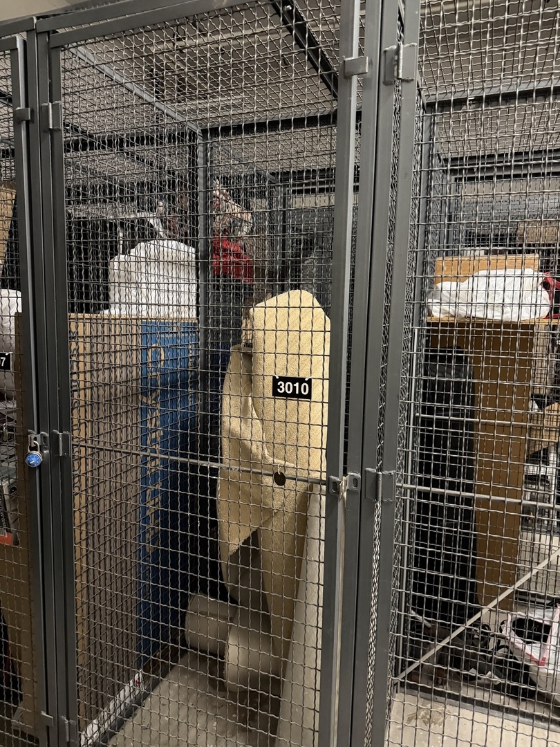 401 E Ontario Street #3010, Chicago, IL 60611