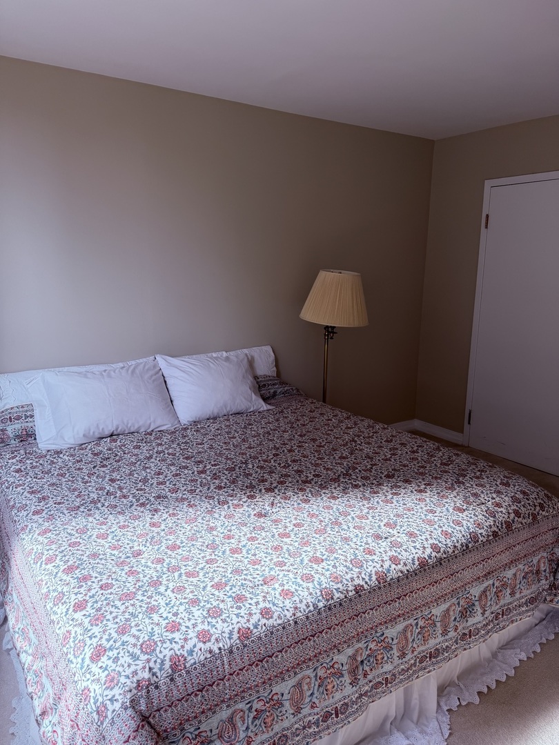 401 E Ontario Street #3010, Chicago, IL 60611